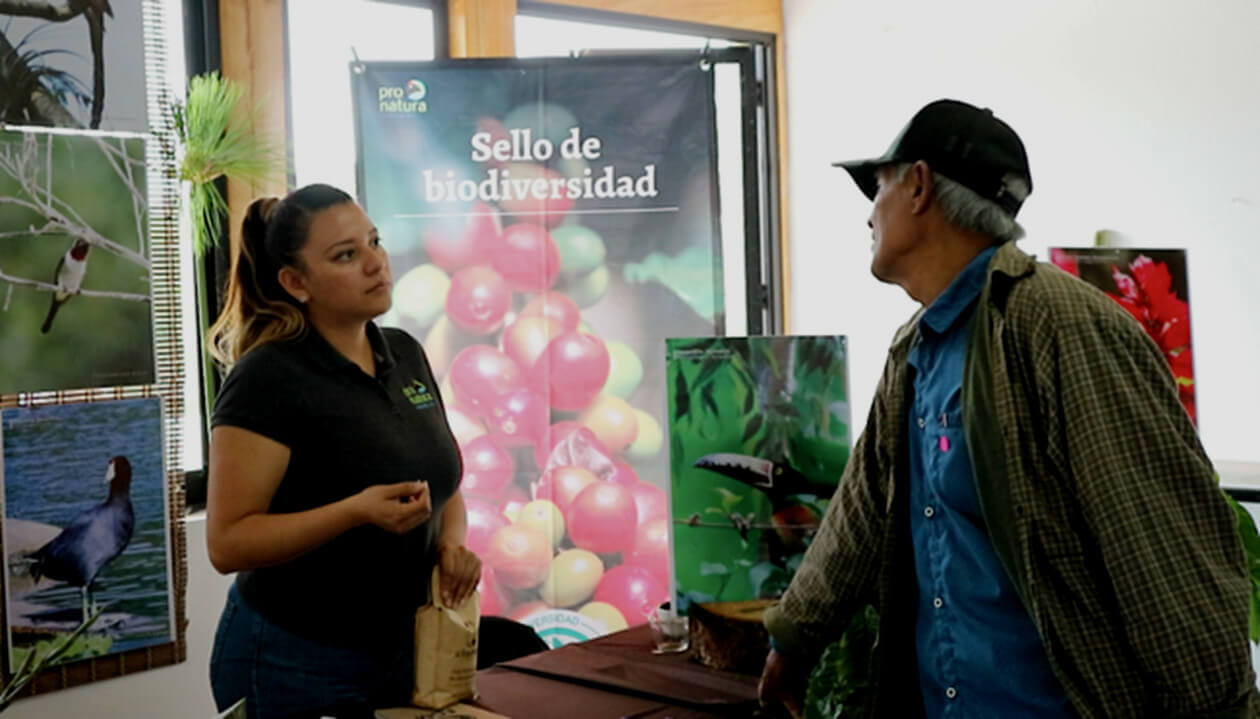 Taller Manejo agroecológico de los cafetales bajo sombra